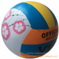 Colorful Complex Logo Sporting Volleyball